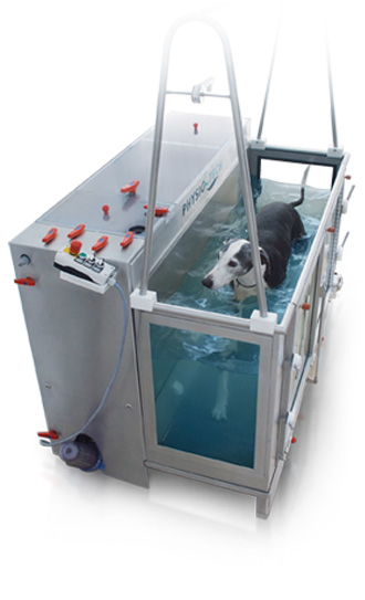 Водная беговая дорожка для собак Фото