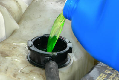 Отравление антифризом (этиленгликолем) у кошек Фото