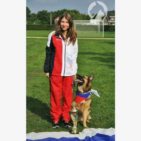 интересные истории о животных Фото интересные истории о собаках