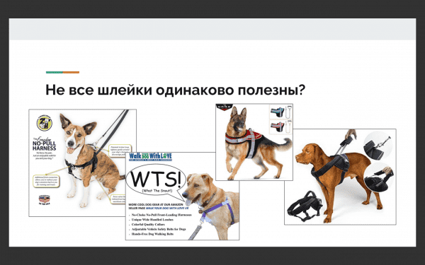 Выбор шлейки Фото выбор шлейки для собак