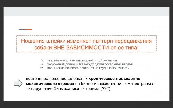 Выбор шлейки Фото выбор шлейки для собак