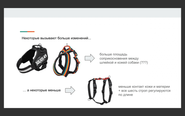 Выбор шлейки Фото выбор шлейки для собак