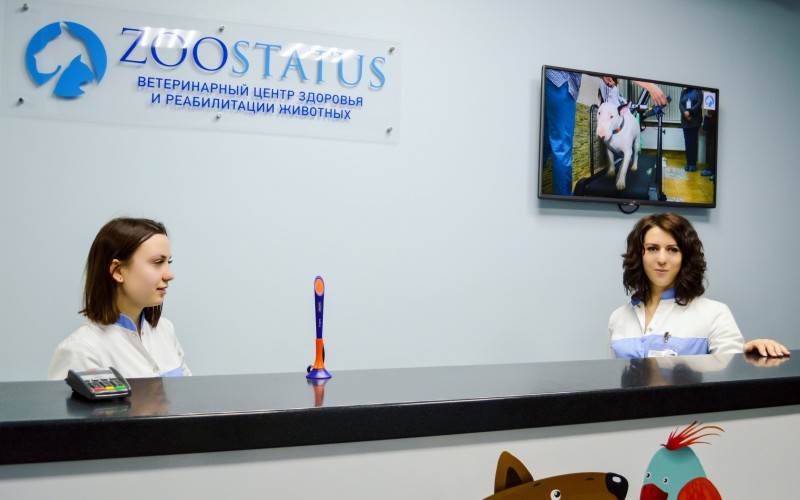 Домашняя ветеринарная аптечка Фото аптечка для животных