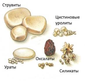 Мочевые кристаллы у кошек
Фото