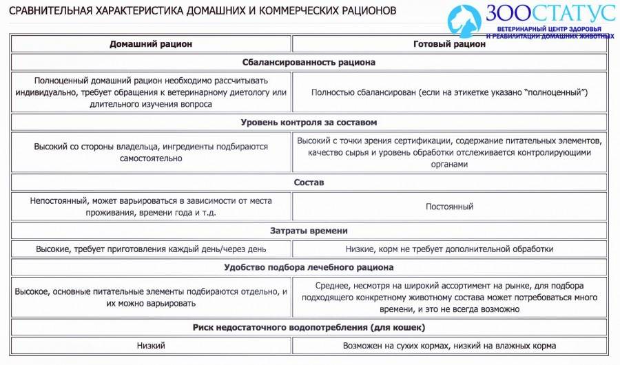 Чем кормить собаку Фото чем кормить кошку