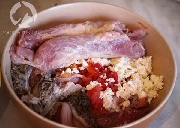 Чем кормить собаку Фото чем кормить кошку