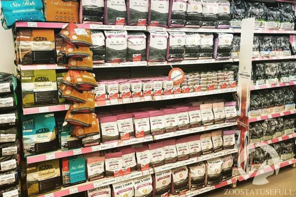 Чем кормить собаку Фото чем кормить кошку