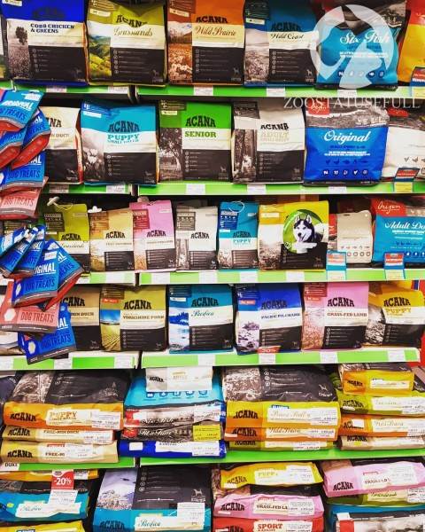 Чем кормить собаку Фото чем кормить кошку