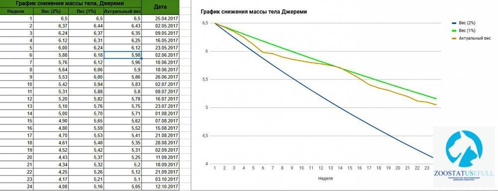 График снижения веса кота Фото график коррекции массы тела кота