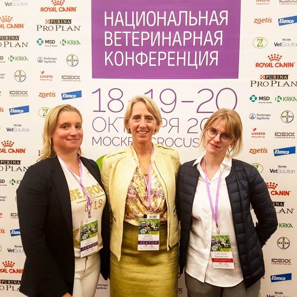 Что такое доказательная ветернария Фото доказательная ветеринарная медицина