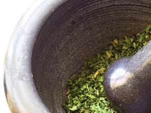 Доказательная медицина в ветеринарии Фото