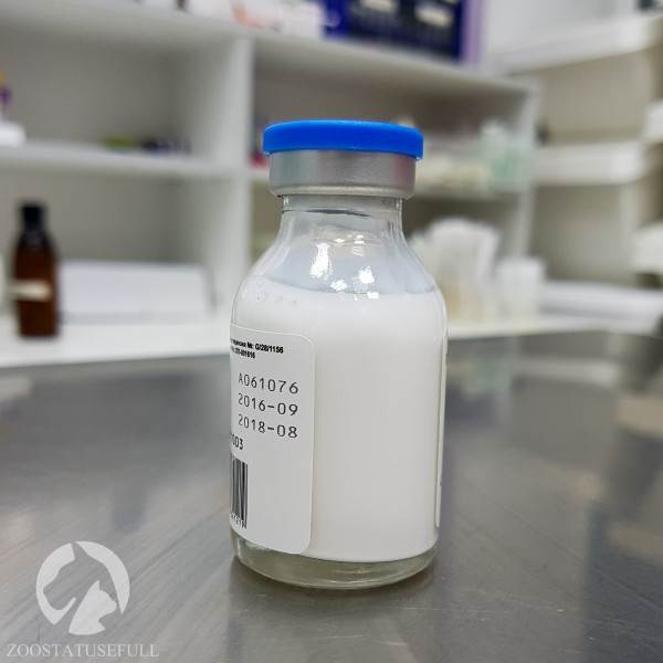 Эвтаназия Фото усыпление