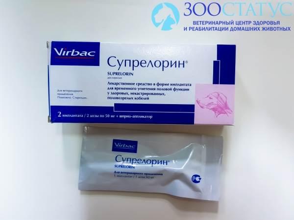 Стерилизация кошек уколом
Фото препарат для химической кастрации кошек