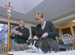 Инфузионная терапия Фото