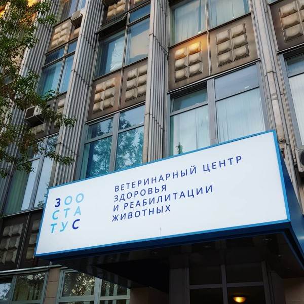 Кормление животных спинальников Фото кормление животных-инвалидов