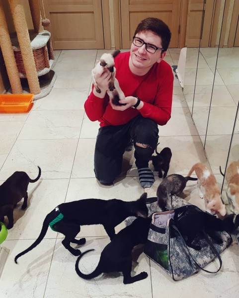 Как купить животное в питомнике Фото как правильно купить котенка в питомнике