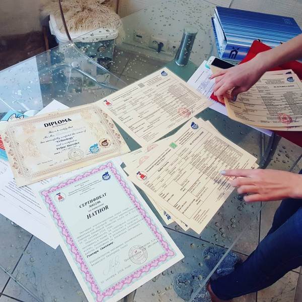 Как купить животное в питомнике Фото как правильно купить котенка в питомнике