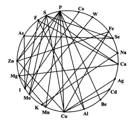 Можно ли смешивать сухой корм и натуралку Фото смешанный рацион для собак