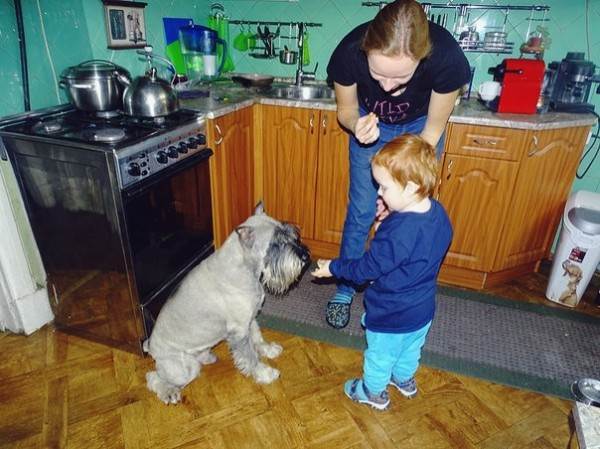 Корм или натуралка Фото натуралка или сухой корм