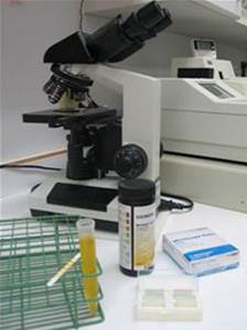 Общий анализ мочи Фото