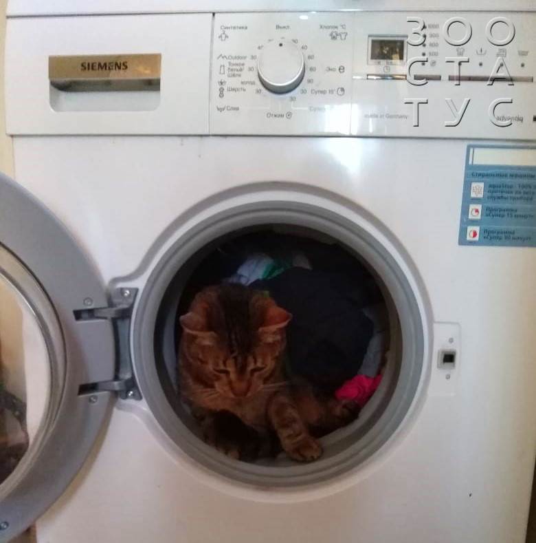 Интервью с врачом Фото