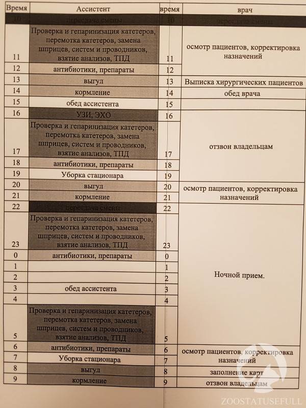 ветеринарный стационар