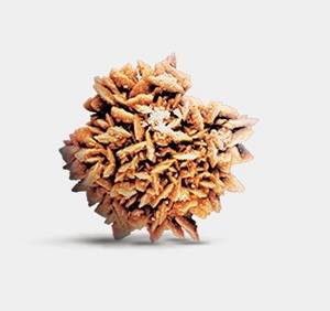 Оксалаты у кошек
Фото