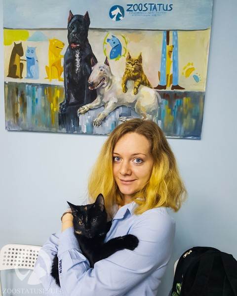 Кошка на приеме Фото прием ветеринара