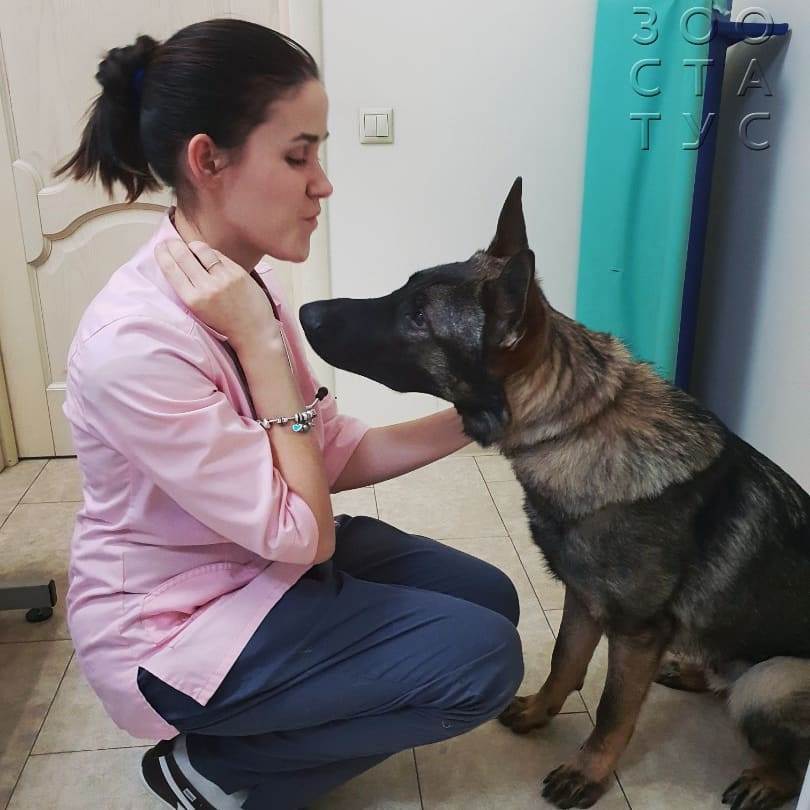 Слизь в кале у собаки
Фото слизь в кале у собак