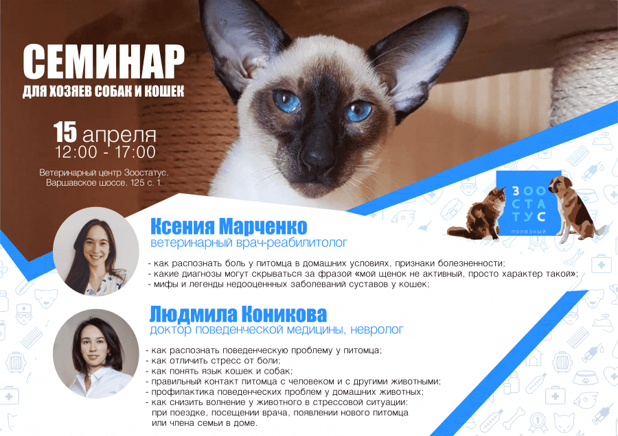 Стресс у кошек Фото стресс у собак