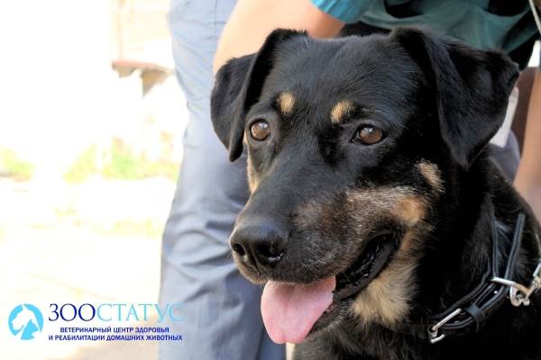 Упражнение на балансировочной платформе
Фото