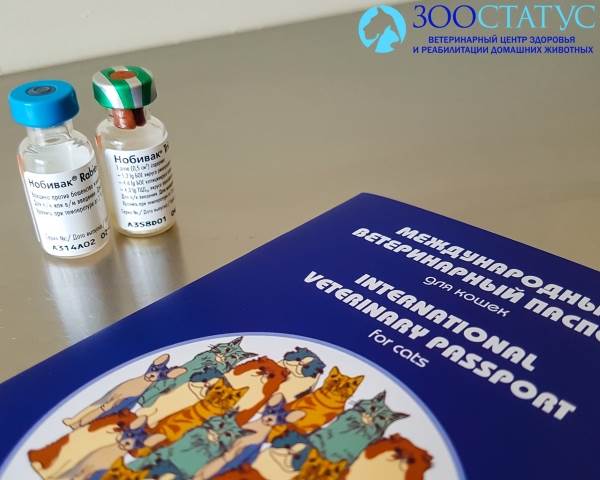 Вакцина от панлейкопении
Фото