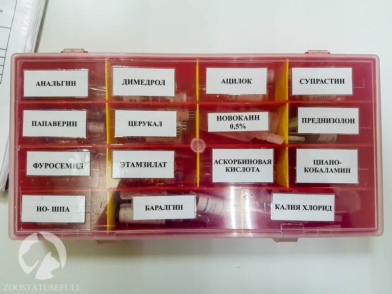 Домашняя ветеринарная аптечка Фото аптечка для животных