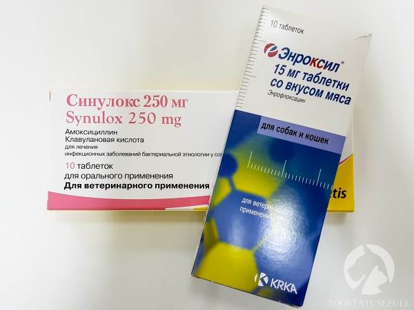 Домашняя ветеринарная аптечка Фото аптечка для животных