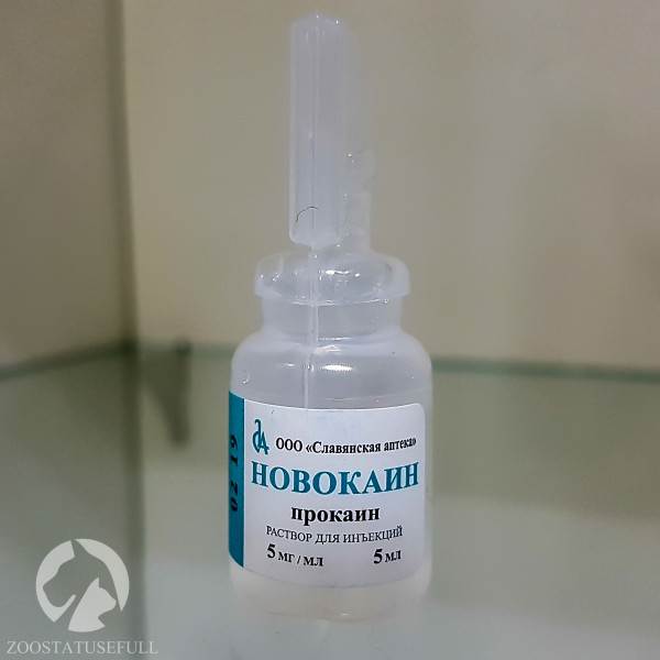 Домашняя ветеринарная аптечка Фото аптечка для животных