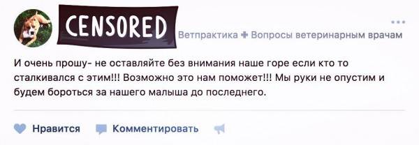 Домашняя ветеринарная аптечка Фото аптечка для животных