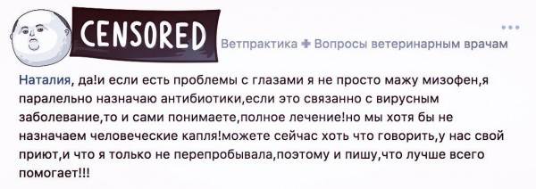 Домашняя ветеринарная аптечка Фото аптечка для животных