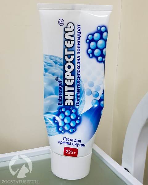 Домашняя ветеринарная аптечка Фото аптечка для животных