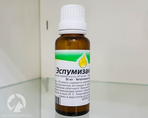 Домашняя ветеринарная аптечка Фото аптечка для животных