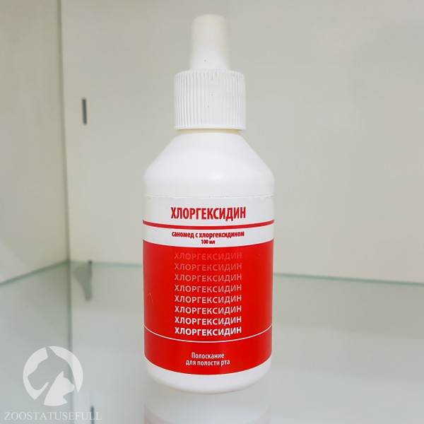 Домашняя ветеринарная аптечка Фото аптечка для животных