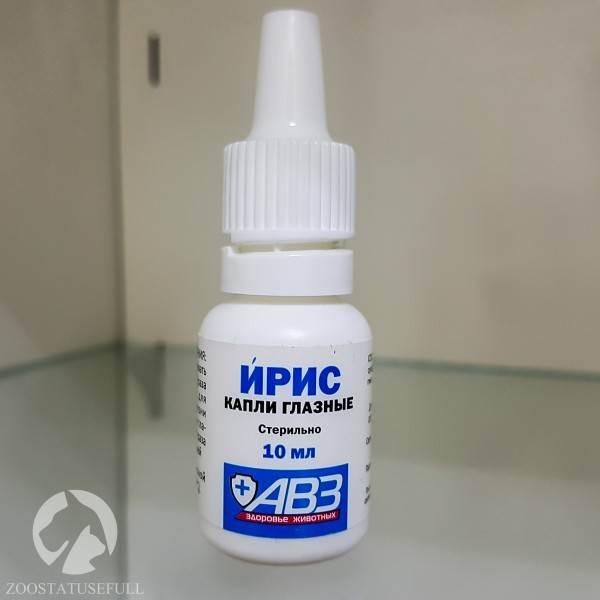 Домашняя ветеринарная аптечка Фото аптечка для животных