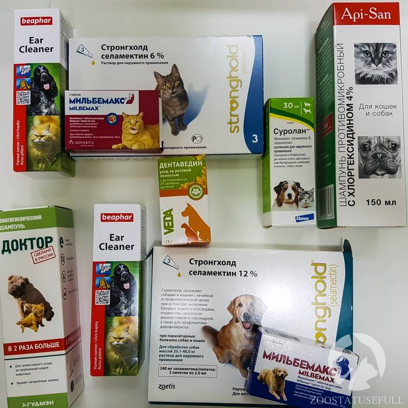 Домашняя ветеринарная аптечка Фото аптечка для животных