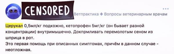 Домашняя ветеринарная аптечка Фото аптечка для животных