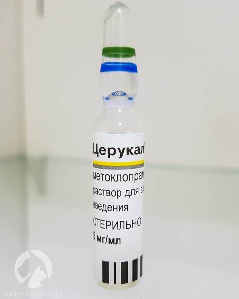 Домашняя ветеринарная аптечка Фото аптечка для животных