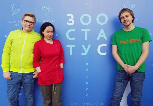 как видят мир кошки, собаки и лошади